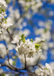 Similar image 21444301