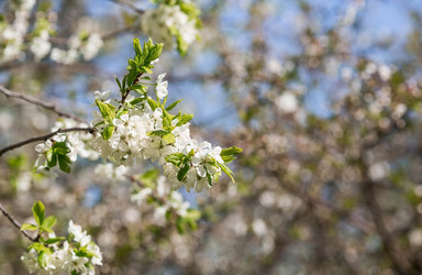 Similar image 21444302