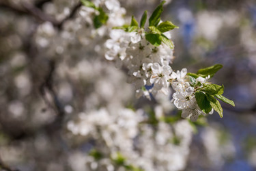 Similar image 21444303