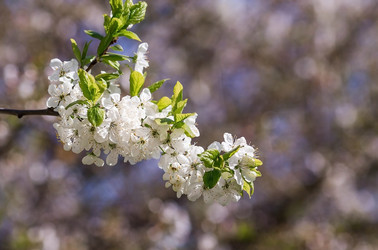 Similar image 21444307