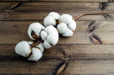 Similar image 21444572