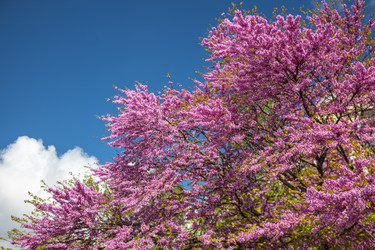 Similar image 21444574