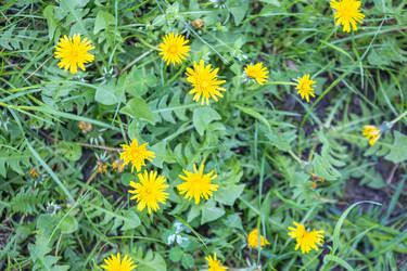 Similar image 21444575