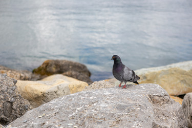 Similar image 21444576