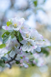 Similar image 21444578