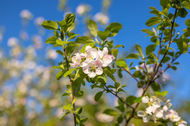 Similar image 21444579