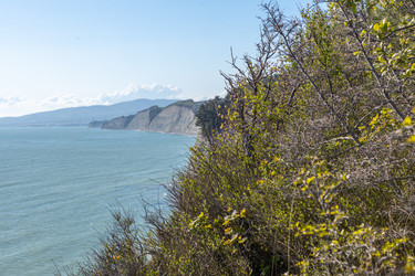 Similar image 21444581