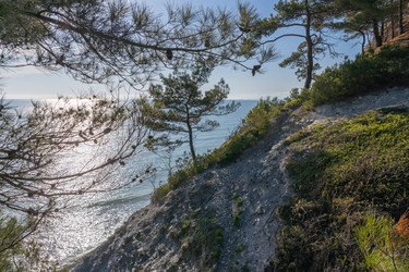 Similar image 21444582