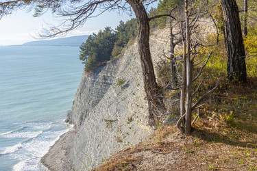 Similar image 21444583