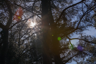 Similar image 21444584