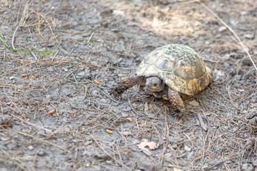 Similar image 21444585