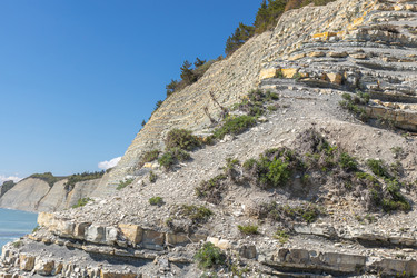 Similar image 21444588