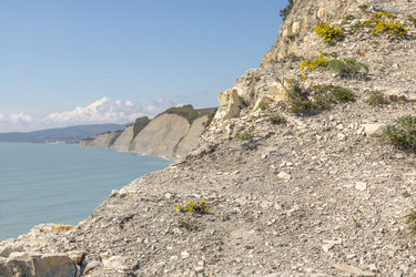 Similar image 21444590