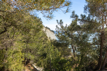 Similar image 21444591