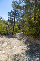 Similar image 21444593