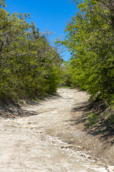 Similar image 21444594