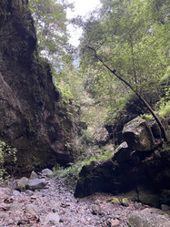 Similar image 21445698