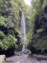 Similar image 21445699