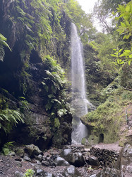 Similar image 21445701