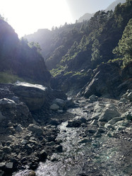 Similar image 21445705