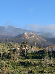 Similar image 21445706