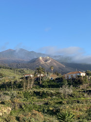 Similar image 21445708