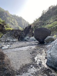 Similar image 21445709