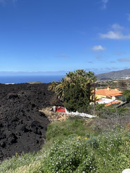 Similar image 21445710