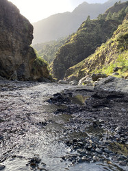 Similar image 21445713