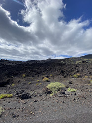 Similar image 21445717