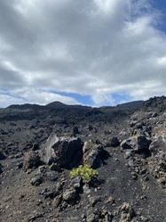 Similar image 21445719