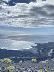 Similar image 21445720