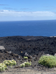 Similar image 21445721