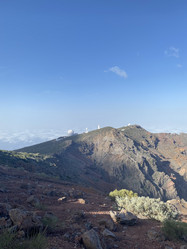 Similar image 21445724