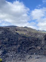 Similar image 21445727