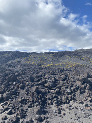 Similar image 21445729