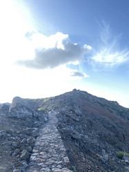 Similar image 21445732