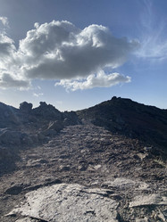 Similar image 21445736