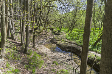 Similar image 21445038