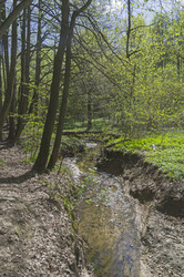 Similar image 21445039