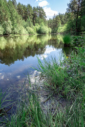 Similar image 21446306