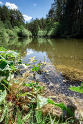 Similar image 21446307