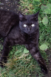 Similar image 21446312