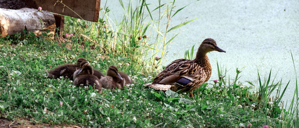 Similar image 21446316