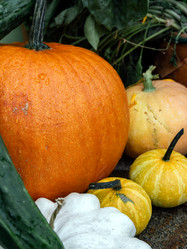 Similar image 21446322