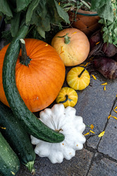 Similar image 21446323