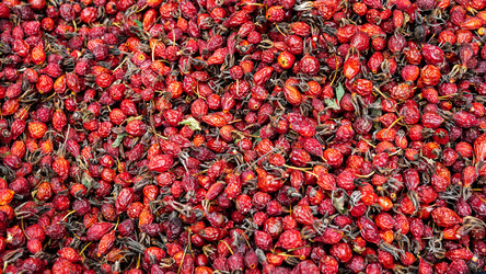 Similar image 21446326