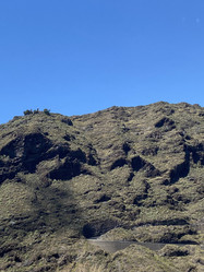 Similar image 21445049