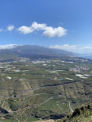 Similar image 21445054