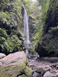 Similar image 21445239